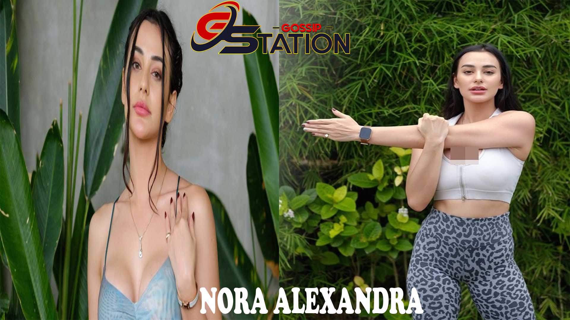 Nora Alexandra Potret Kehidupan dan Karier